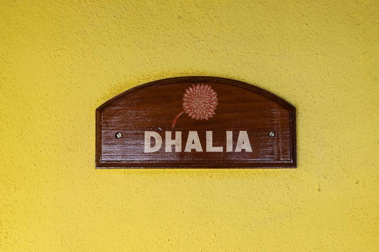 Presa Di Goa - Smith And Appy Managed Hotell Calangute Eksteriør bilde